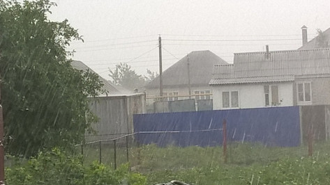 В районе Воронежской области выпало рекордное за 100 лет количество осадков