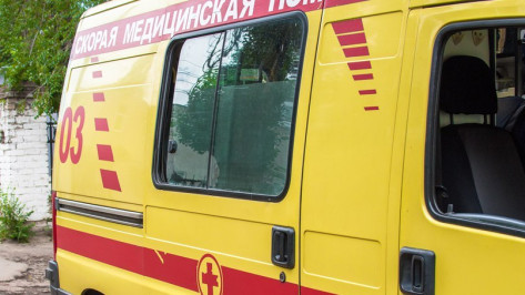 В Воронеже ветка упала на ребенка и 2 женщин