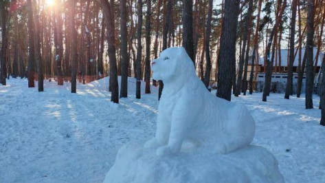 Воронежские мастерицы снежных скульптур слепили символ 2022 года