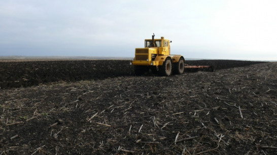 Воронежские аграрии приступили к севу яровых