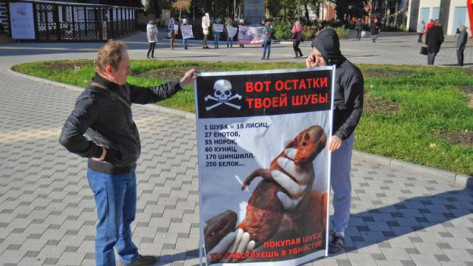 Воронежские зоозащитники отказались от ежегодного антимехового марша