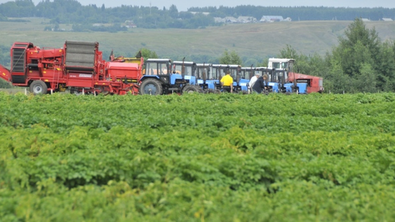   Темпы роста сельхозпроизводства в Воронежской области превышают общероссийские в три раза