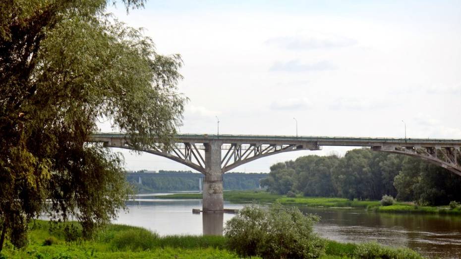В Верхнем Мамоне мост через реку Дон закроют на ремонт с 1 ноября