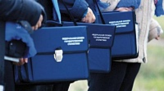 Статистики Воронежской области подготовились к микропереписи населения