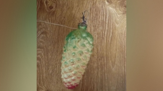 В Воронеже за 1,5 млн рублей продают елочную игрушку