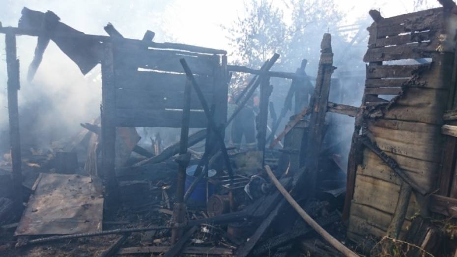 В Борисоглебске 10-летний мальчик устроил пожар 