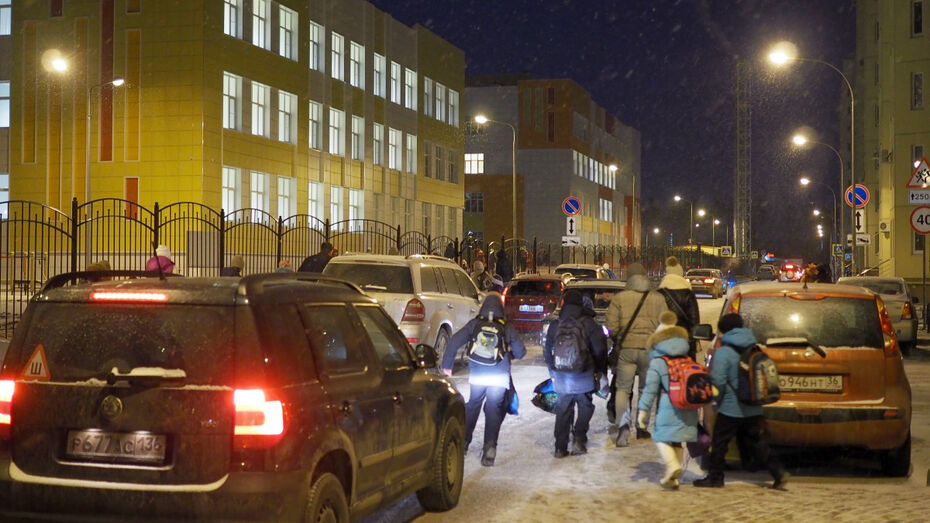 В Воронеже полицейские будут дежурить у переходов возле школ