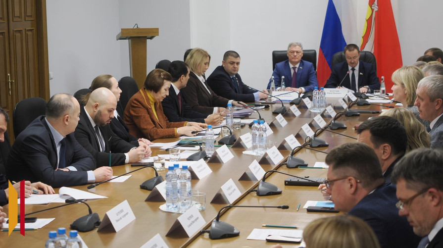 Реформа местного самоуправления: в Воронежской облдуме обсудили эффективность и прозрачность взаимодействия властей и граждан