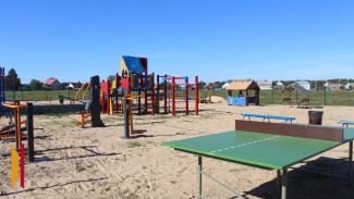 В рамонском селе Лопатки активисты обновили детскую площадку
