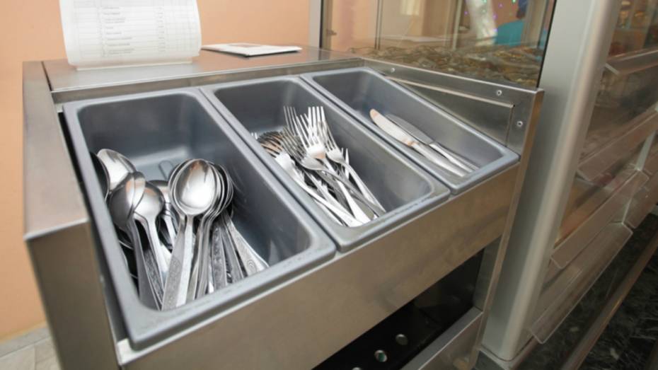 Мертвых вредителей обнаружили в продуктах воронежской гимназии Платонова