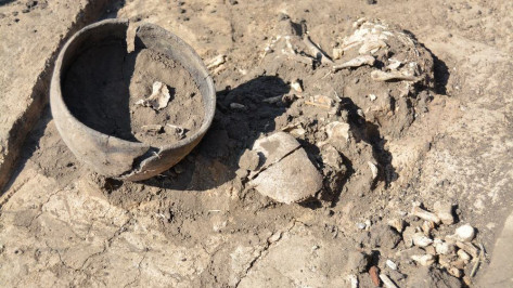 В Воронежской области археологи нашли захоронения детей 3400-летней давности