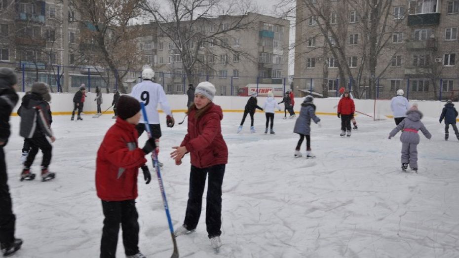 В Павловске открыли первую профессиональную хоккейную площадку