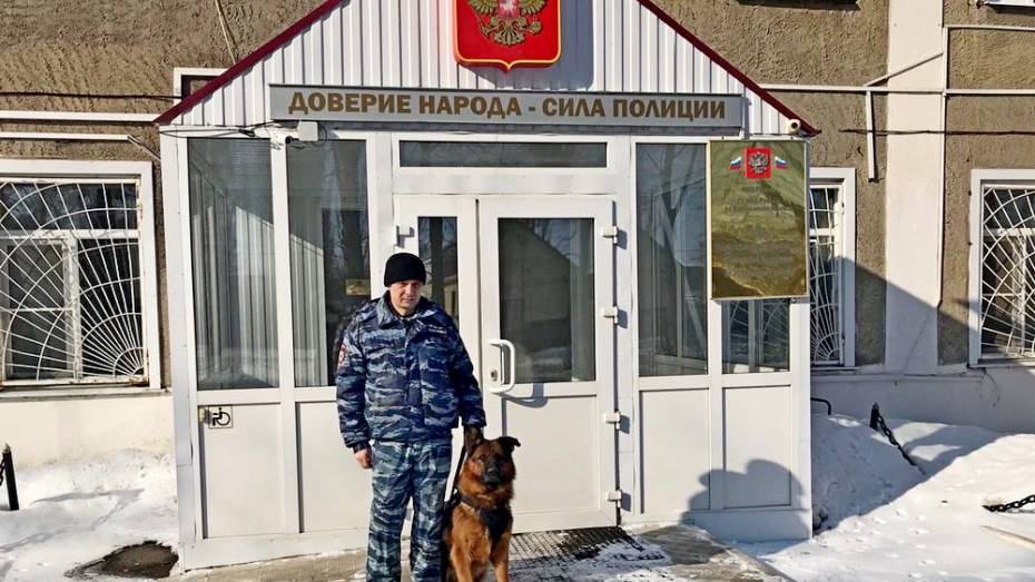 Служебный пес помог эртильским полицейским раскрыть кражу