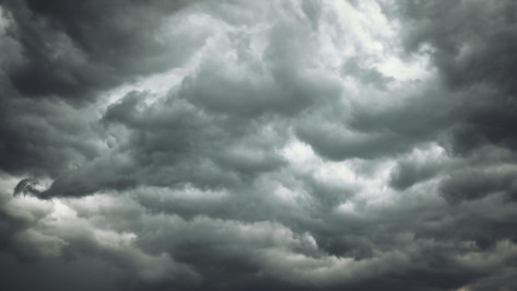 Воронежцам раскрыли подробности атаки БПЛА в ночь на 20 сентября