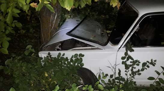 В Воронежской области 70-летний пенсионер на ВАЗе врезался в дерево и погиб