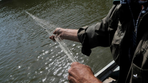 Воронежцам запретят ловить рыбу в реке Дон с 20 апреля