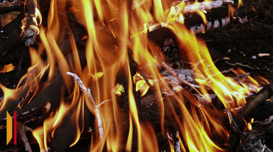 Взрыв трех пропановых баллонов предотвратили на пожаре в Воронеже