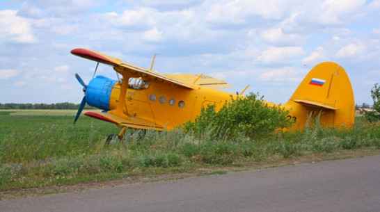 В пригороде Богучара совершил вынужденную посадку самолет 