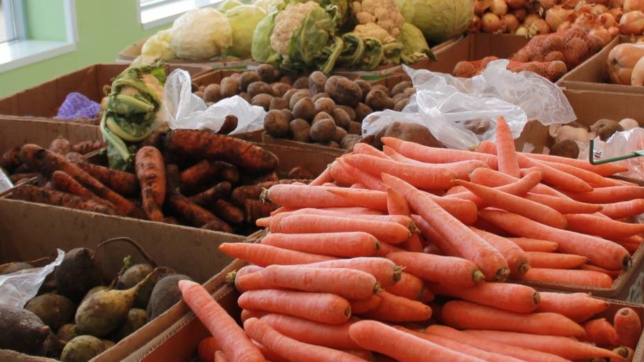 Жителей Хохольского района попросили помочь собрать овощи для сухих обедов участникам СВО