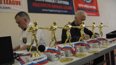 Воронежские боксеры победили на всероссийских соревнованиях