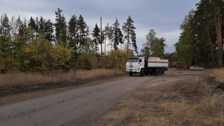 Жителям Воронежской области на 3 недели запретили посещать леса