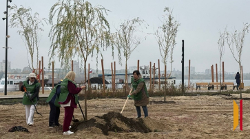 В Воронеже началось благоустройство сквера Предпринимателей на Петровской набережной
