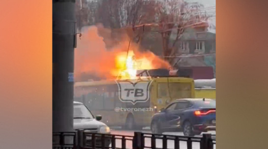 В Воронеже на Московском проспекте у троллейбуса загорелись провода: видео