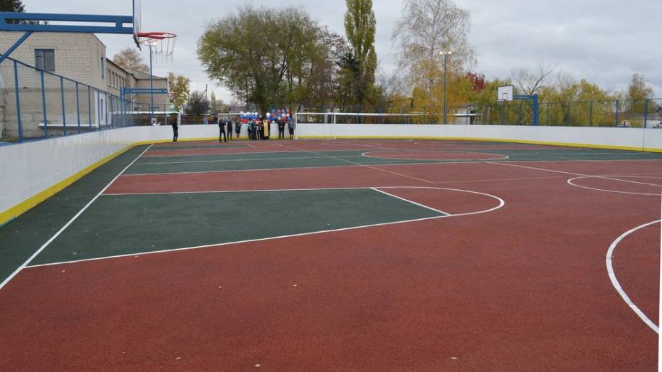 В лискинском селе Троицкое открыли спортивную площадку за 3 млн 800 тыс рублей