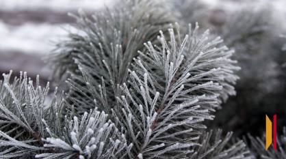 Воронежцев ждет морозная рабочая неделя