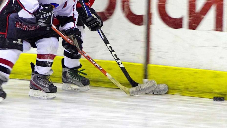 В Воронеже завершили расследование дела о незаконной аренде катка на 740 тыс рублей