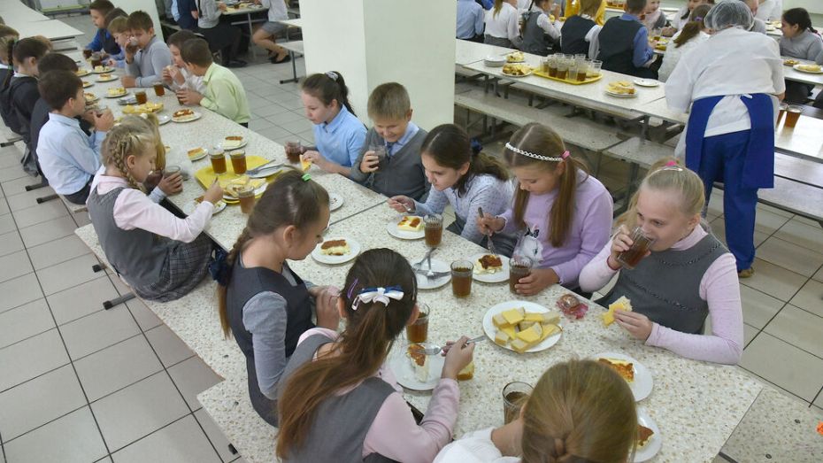 Родителей воронежских младшеклассников попросили оценить бесплатное питание