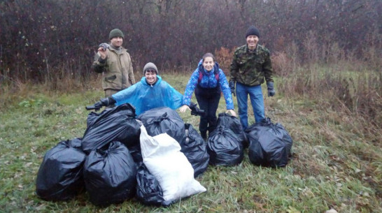 Жителей Воронежской области позвали на субботник в Дивногорье 3 и 4 ноября