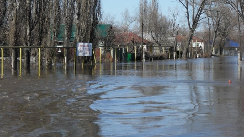 «Вторая волна» паводка накатит на Воронежскую область в выходные 