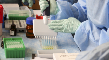 В воронежском селе Сторожевое 2-е отменили карантин по бешенству животных