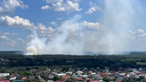 Воронежцы сообщили о сильном пожаре за микрорайоном Боровое днем 23 июня
