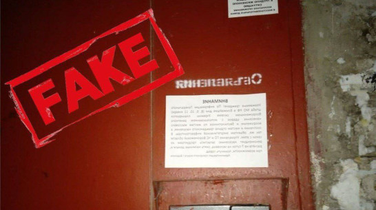 Фейк об объявлениях с призывом запасаться продуктами разоблачили в Воронеже