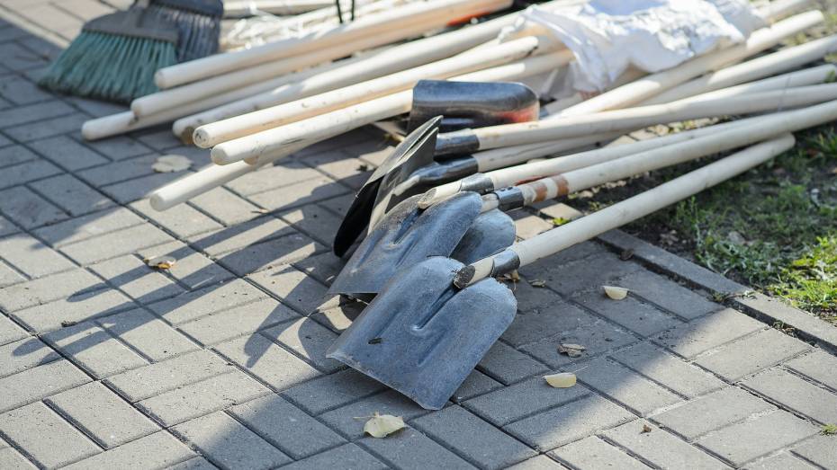 Власти вместе с добровольцами устроят уборку на даче Башкирцевых под Воронежем