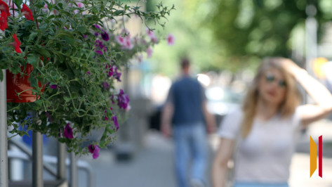 Жара ожидает воронежцев на новой рабочей неделе