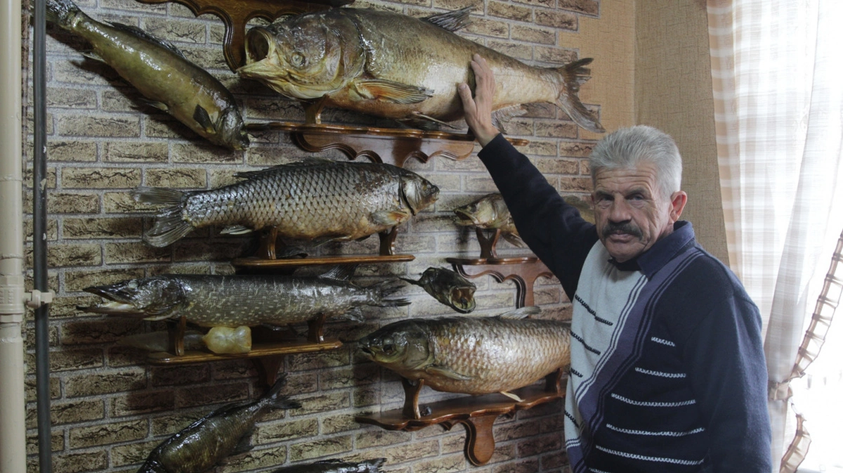 Чучела рыб подарок рыбаку. Легенда Камы. | ВКонтакте
