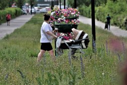 Самыми популярными именами новорожденных в Воронежской области остались Михаил и София