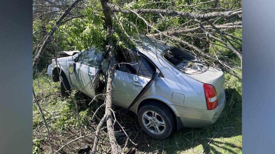 В Воронежской области Nissan вылетел в кювет и врезался в дерево: в больнице скончался пассажир