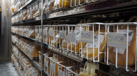 Почти 32 тыс литров крови сдали в 2020 году в Воронежской области