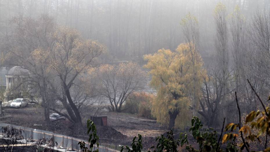 Воронежцев предупредили о тумане 2 ноября
