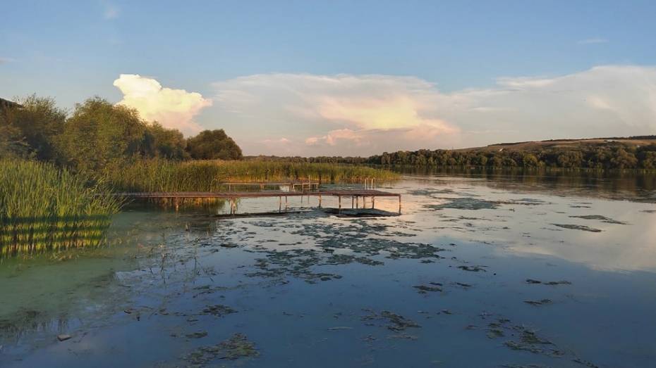 В Воронежской области 41-летняя женщина утонула в озере Богатое