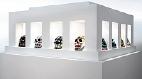 Воронежская академия искусств выставит в Доме офицеров курган из фарфоровых черепов