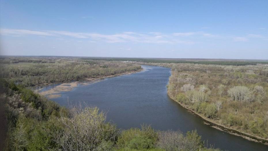 В Воронежской области нашли тело в реке Дон