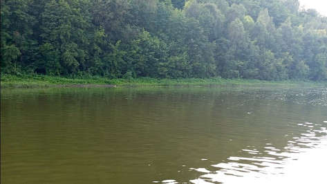 В Воронежской области рыбаки нашли тело утонувшей в Дону 46-летней женщины