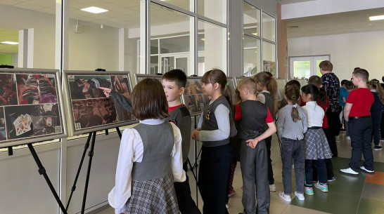 Грибановским школьникам представят передвижную выставку фотографий о помощи фронту