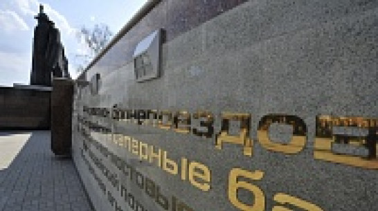 Ремонт 28 братских могил в Воронеже обойдется почти в 25 млн рублей 