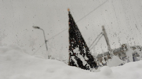 МЧС предупредило о снежных заносах и сильном ветре в Воронежской области